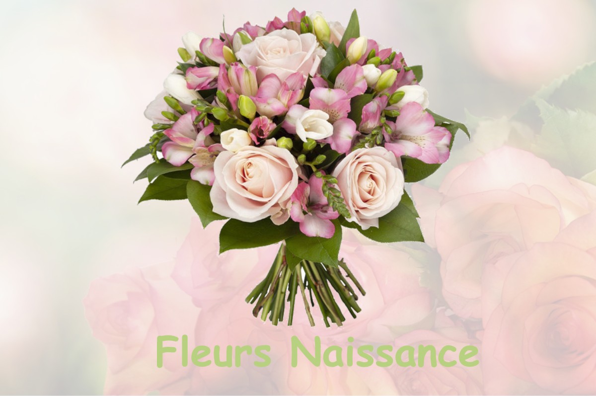 fleurs naissance VAULNAVEYS-LE-BAS