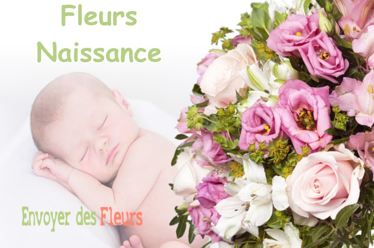 lIVRAISON FLEURS NAISSANCE à VAULNAVEYS-LE-BAS